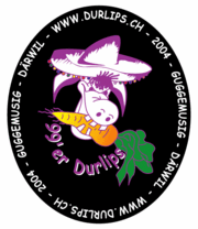 Logo - 99er Durlips