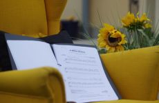 Impression 2 - The Daffodils