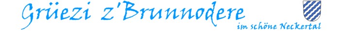 Logo - Forum Brunnadern
