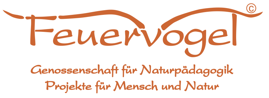 Logo - Feuervogel, Genossenschaft für Naturpädagogik