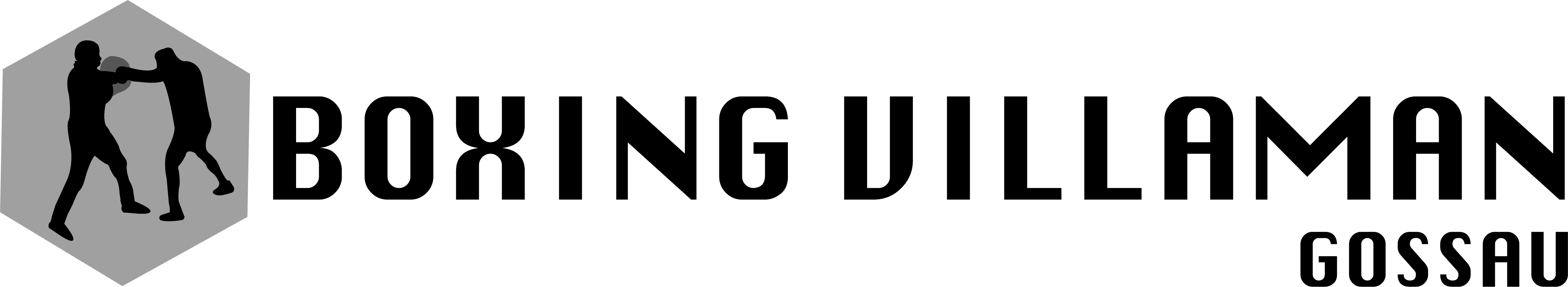 Logo - Boxing Villaman
