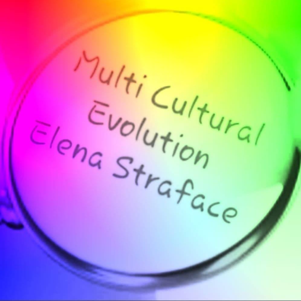 Logo - Multi Cultural Evolution