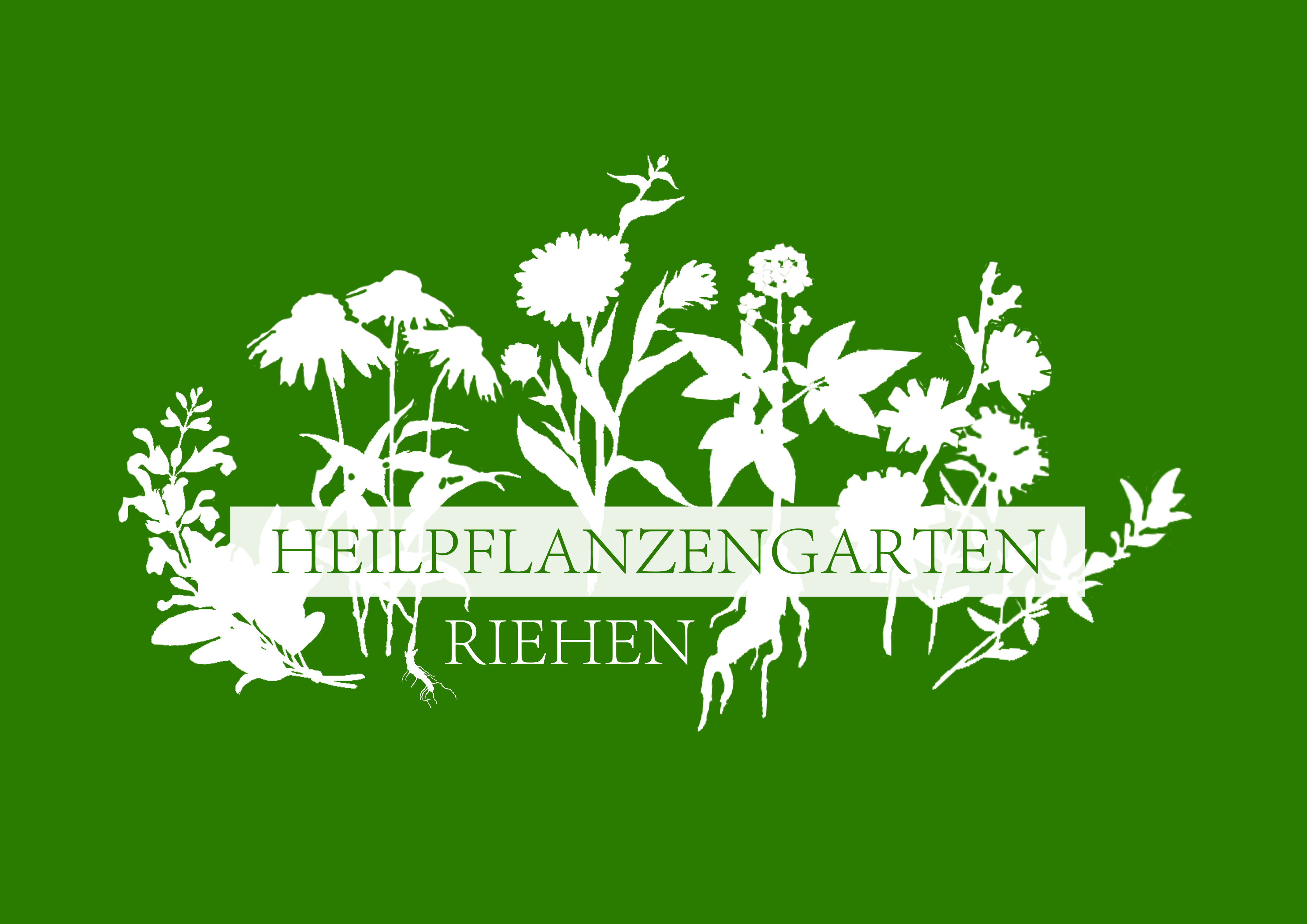 Logo - Heilpflanzengarten Riehen