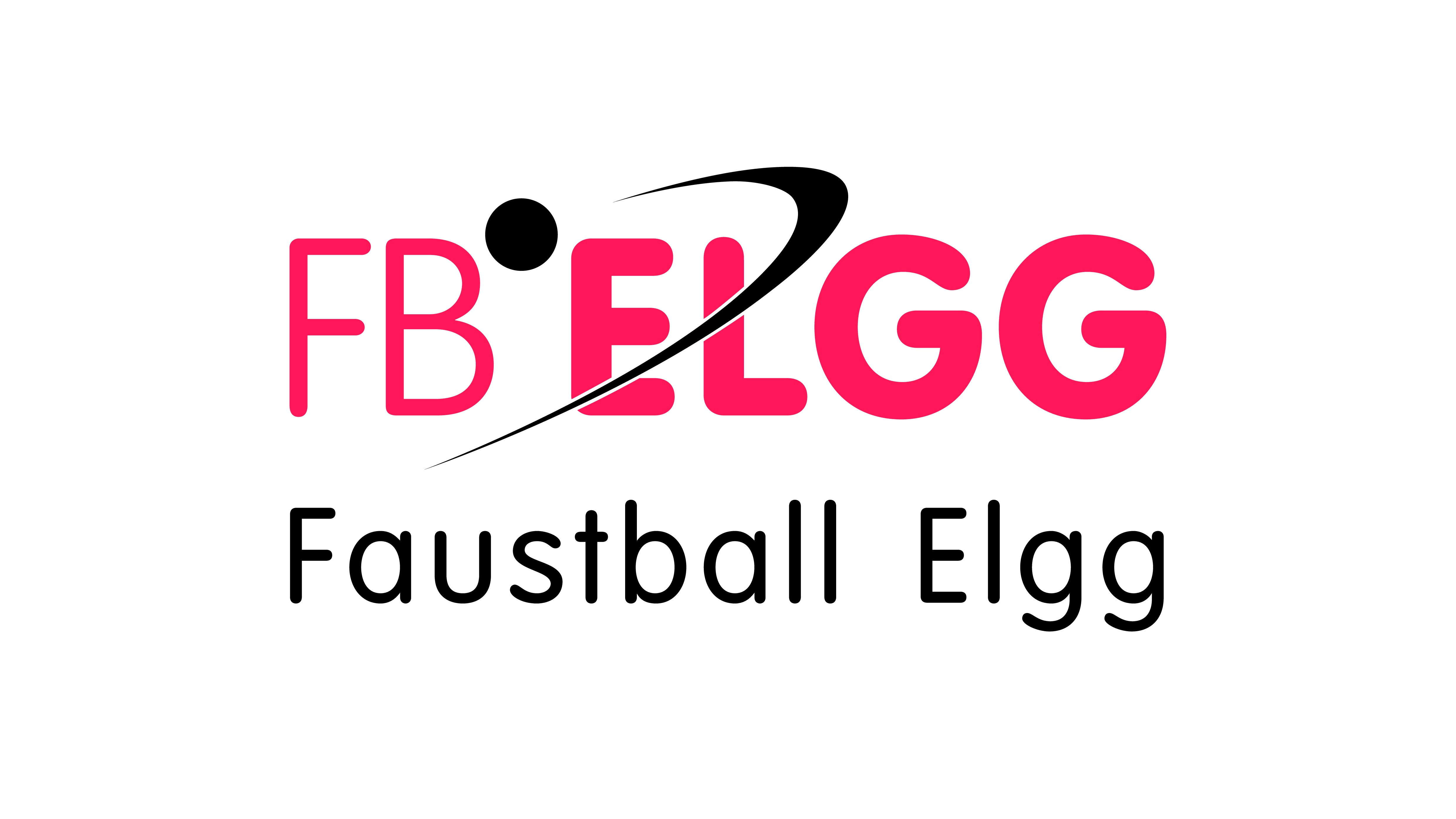 Logo - Faustball Elgg