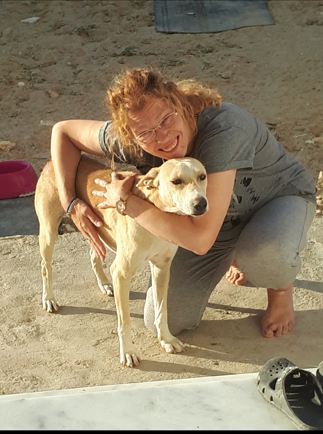 Gisella Romdhani - Animal Hearts Tunisia - Tierschutzverein